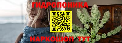 бошки Можга