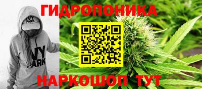 бошки Можга