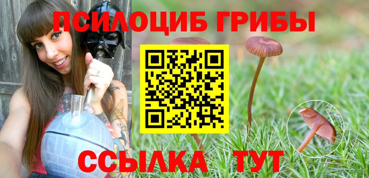 Псилоцибиновые грибы ЛСД Тимашёвск